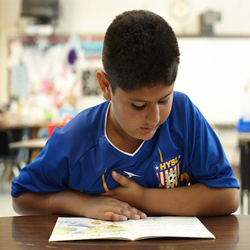 Child's Education Problems